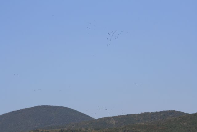 Img_2347_2 Img_2347_2