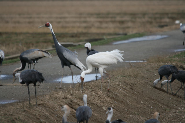 Img_7823_2 Img_7823_2