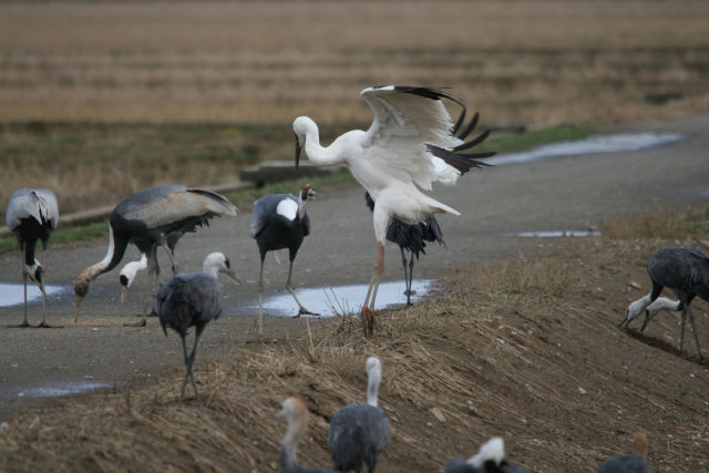 Img_7824_2 Img_7824_2