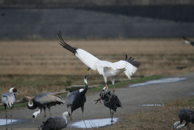 Img_7825_2 Img_7825_2