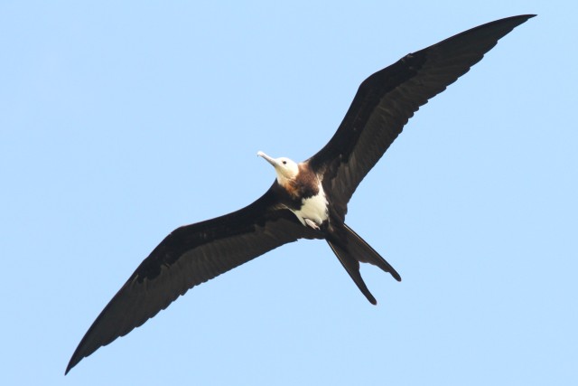 Img_3665_1 Img_3665_1